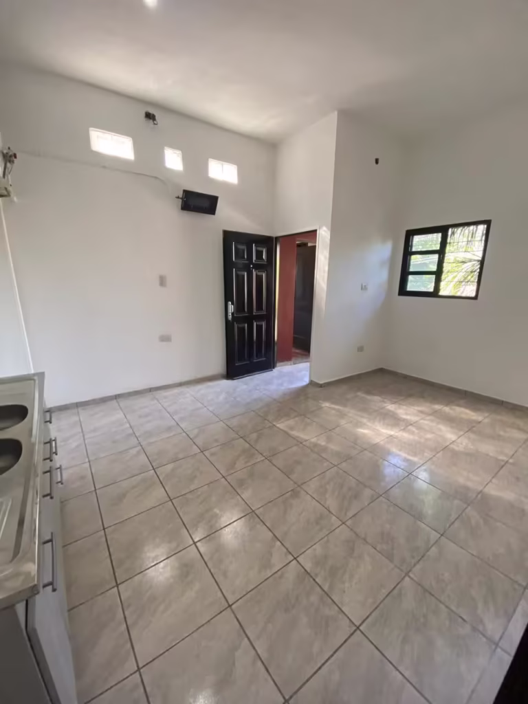 departamento planta alta